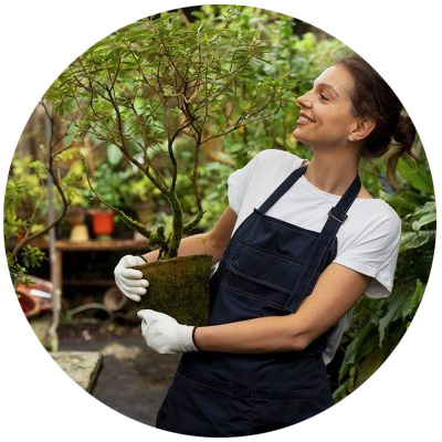 Biofertilizantes